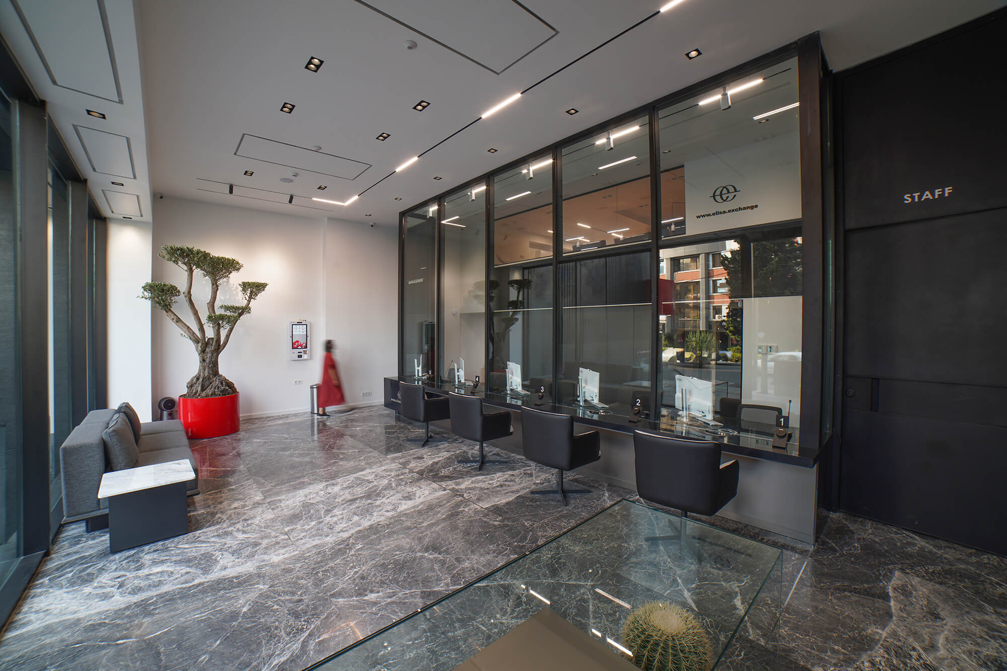 Elissa Currency Exchange