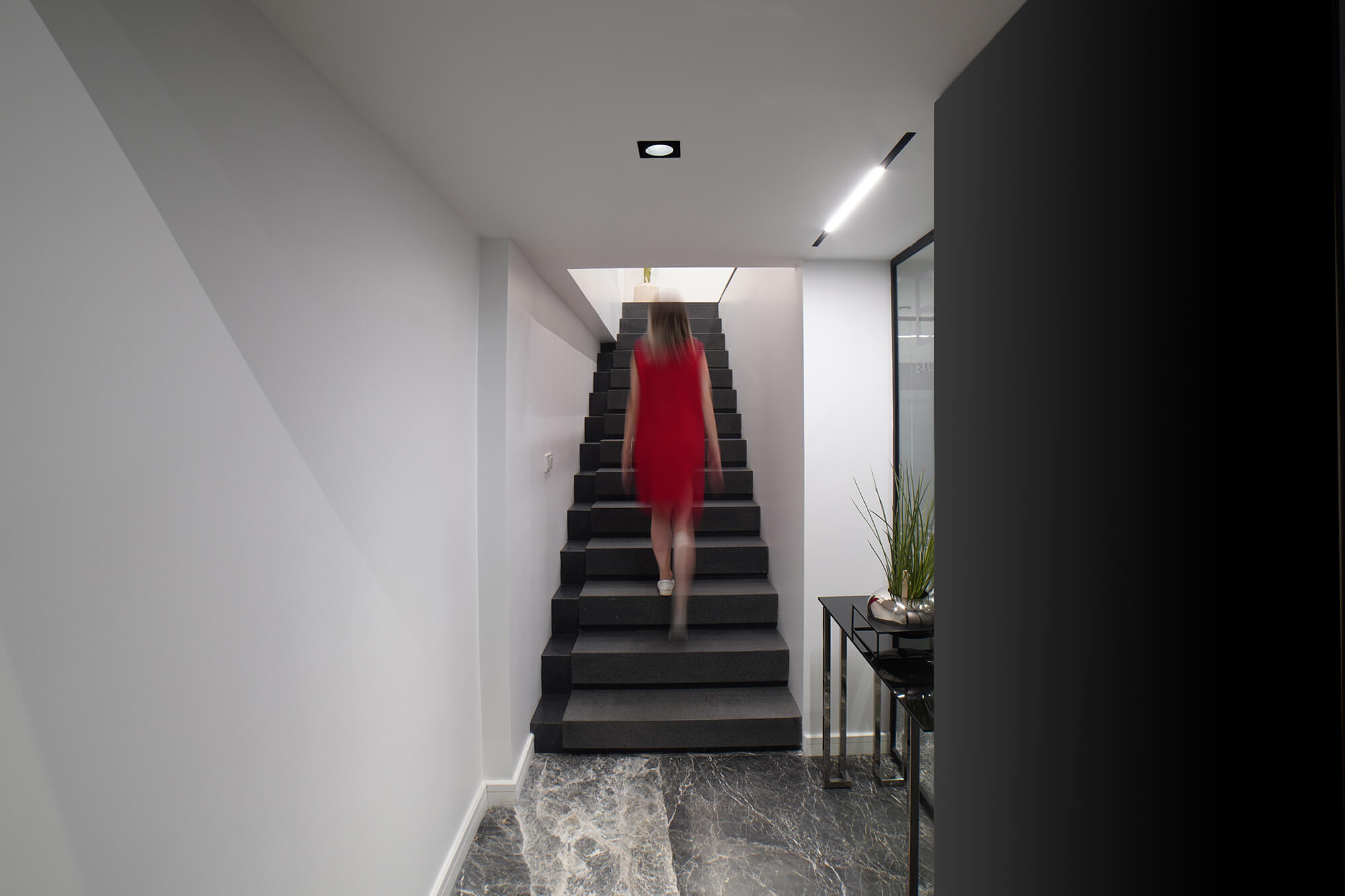 Elissa Currency Exchange